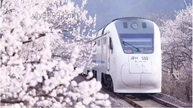5A景区为何难以匹敌商场小火车的魅力？